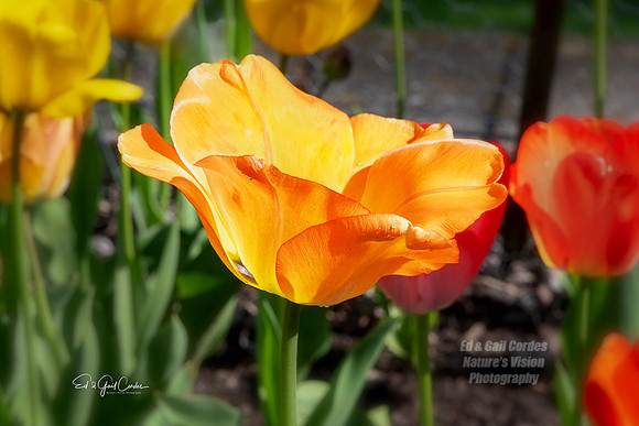 R5 2024-04-30-9503-Edit