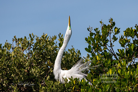 R5 2024-03-17-9300-Edit