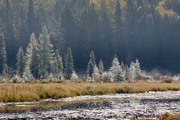 1D4 2014-09-26-1924Fog
