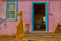 7D2E 2016-11-21-5104_HDR A