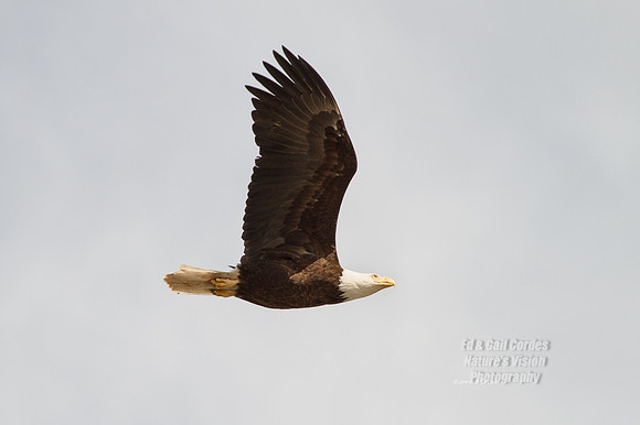 7D 2014-06-11-5805