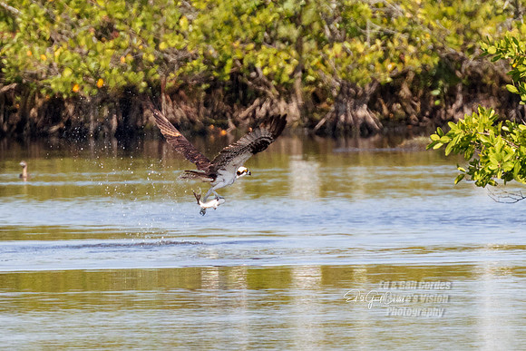 R5 2024-03-17-8358-Edit