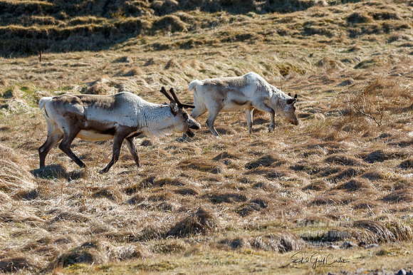 7D2E 2022-05-06-1454-Edit
