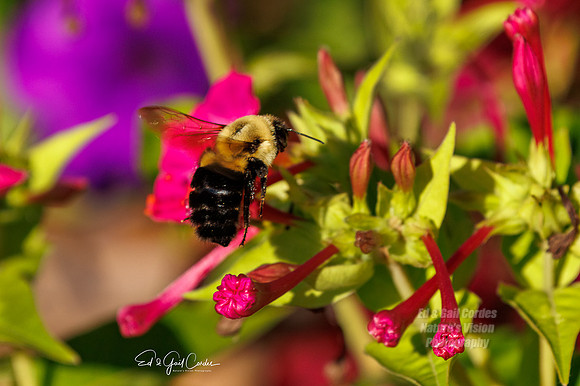 R7 2022-08-18-0422-Edit