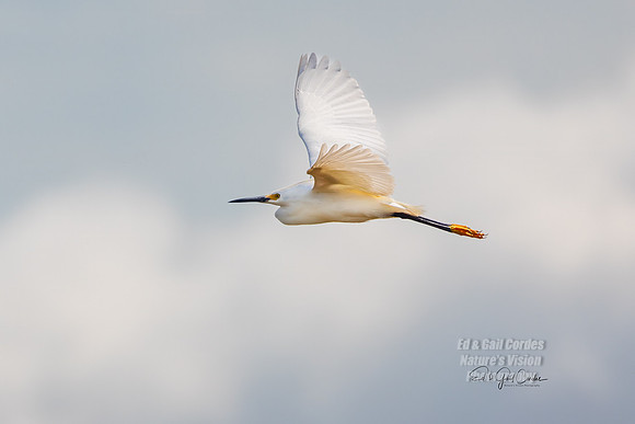 R5 2024-03-17-8280-Edit