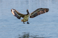 R7 2024-03-17-6155-Edit