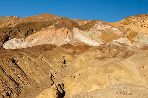 7D2E 2022-01-29-0092-Edit