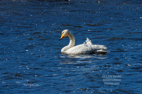 7D2E 2022-05-06-1471-Edit