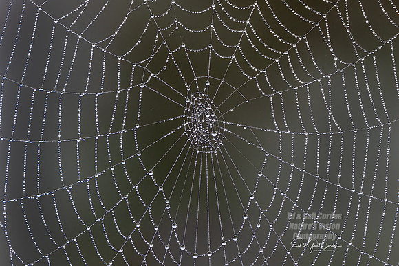 R5 2024-09-17-2787-Edit A
