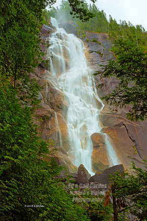 1D4 2014-06-11-8331_2_3