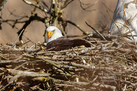 7D2E 2022-03-06-0856-Edit