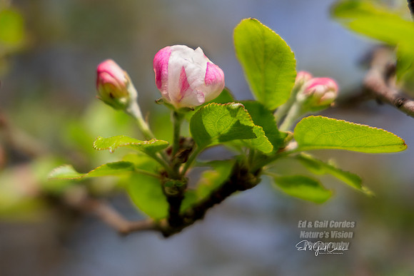 R5 2024-04-30-9513-Edit